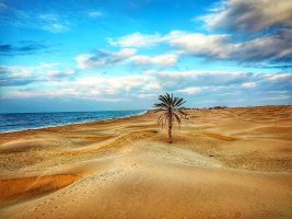 چرا روستای درک برویم؟