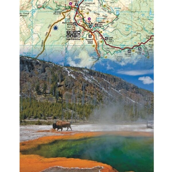 پازل 100 تکه National Geographic