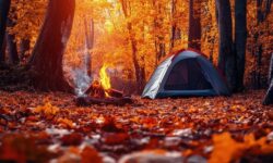 کمپینگ پاییز تهران