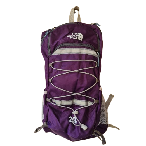 کوله پشتی 25 لیتری نورث فیس