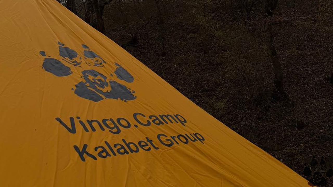 راهنمای جامع کمپینگ و طبیعت گردی