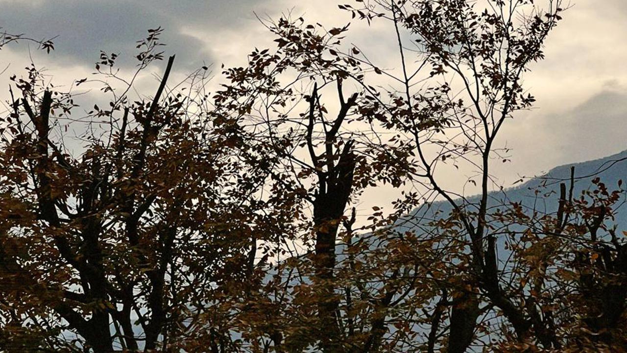 اشتباهات مرگبار در اولین کمپینگ