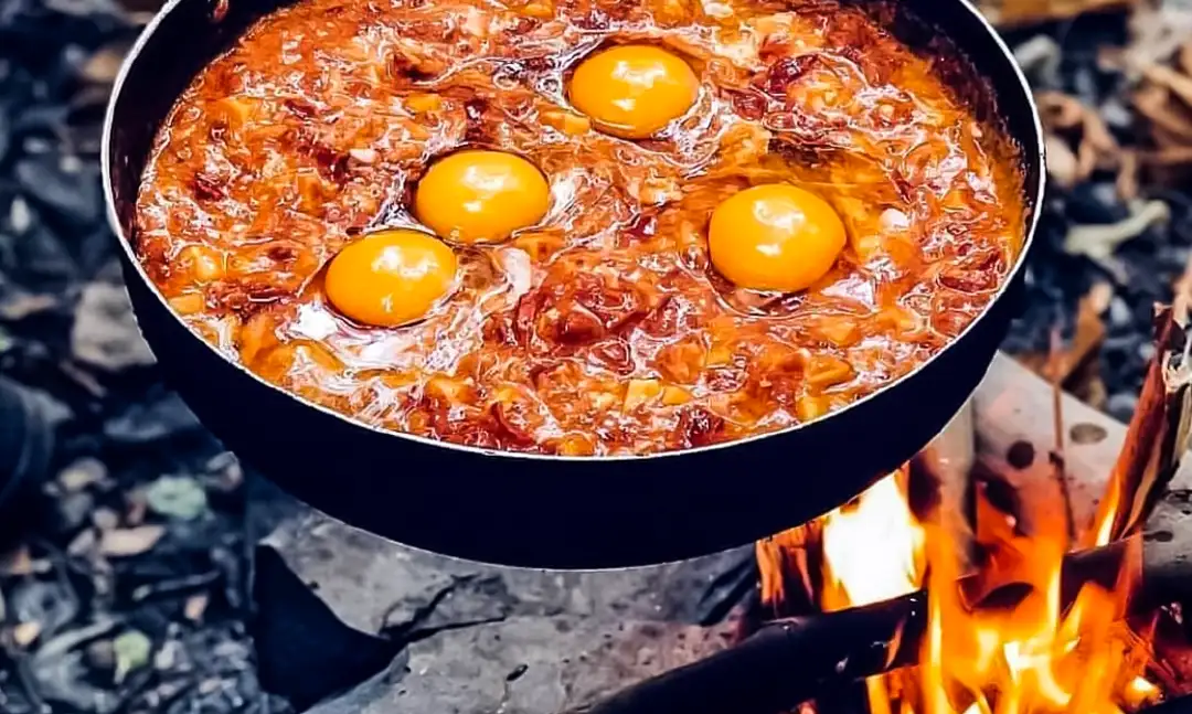 آشپزی در طبیعت برای مبتدی‌ها