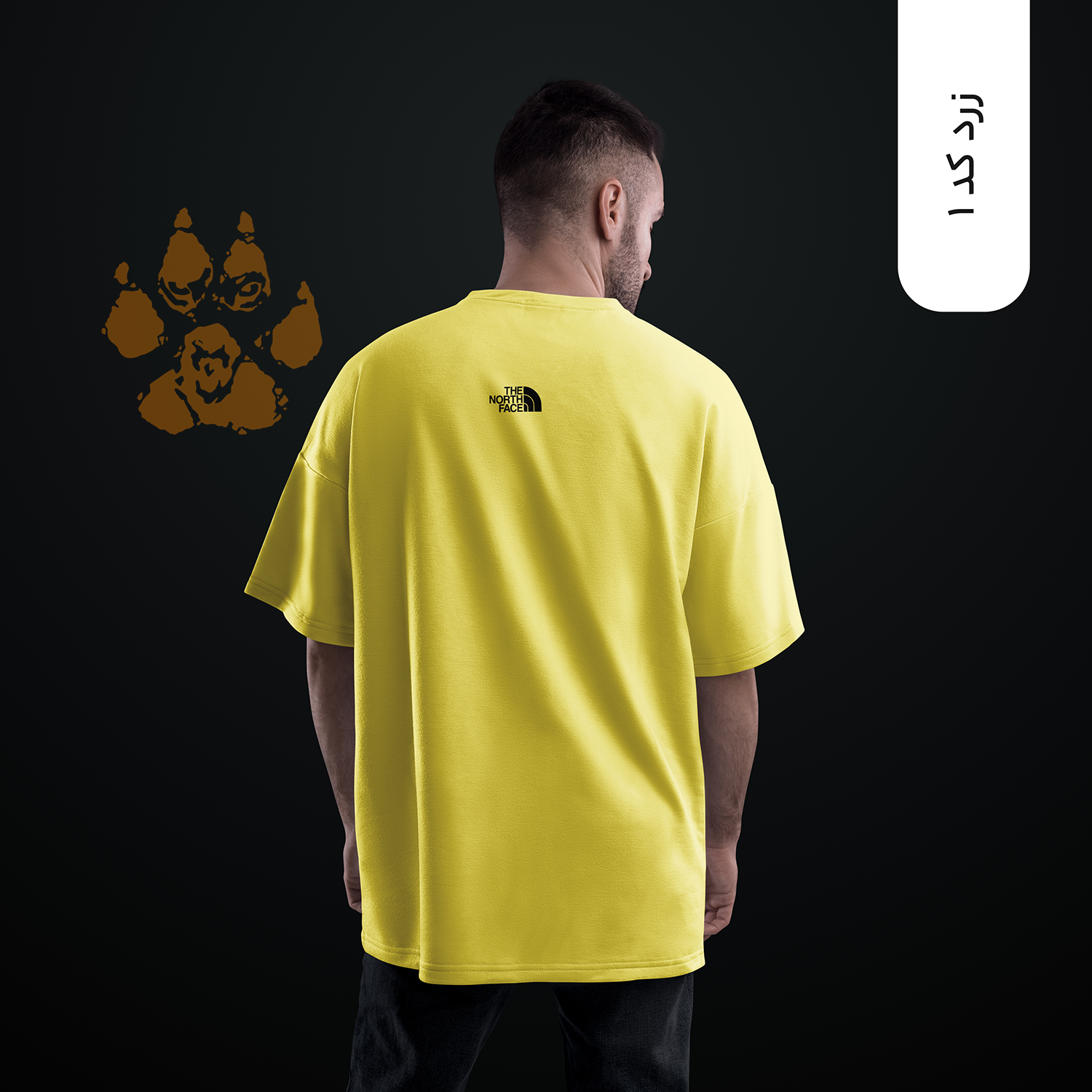 tnfzard1-1