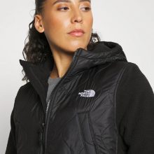 کاپشن نورث فیس اورجینال مدل Royal Arch Parka