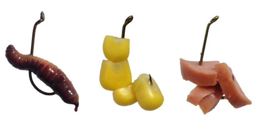 غذای ماهی