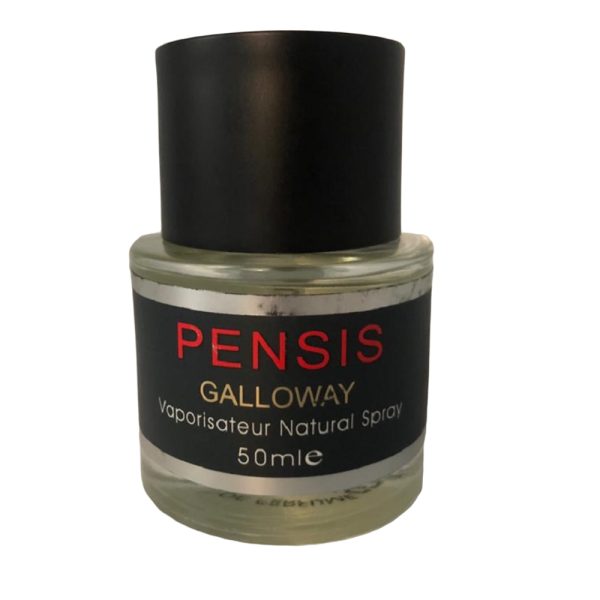 ادو پرفیوم مردانه پنسیس مدل GALLOWAY حجم 50ml