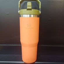 ماگ نی دار طرح استنلی FLIP STRAW TUMBLER ظرفیت 887 میلی لیتر