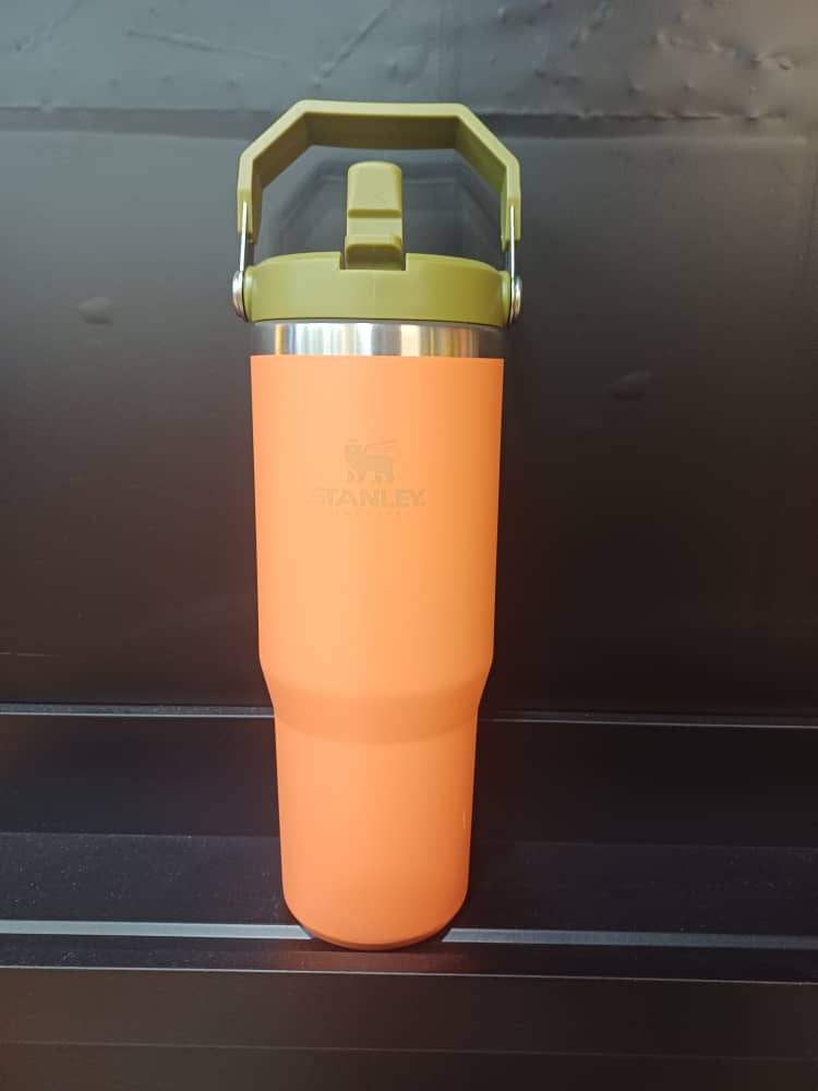 ماگ نی دار طرح استنلی FLIP STRAW TUMBLER ظرفیت 887 میلی لیتر