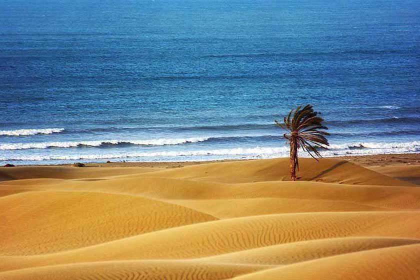 صجنه زیبای کویر و دریا 