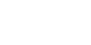 logo kala vingo white