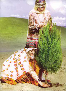 جشن گلدان 