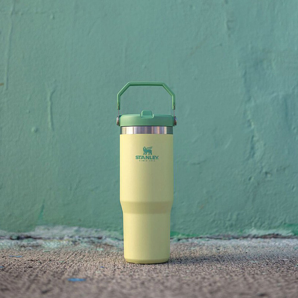 ماگ نی دار استنلی FLIP STRAW TUMBLER ظرفیت 880 میلی لیتر اورجینال