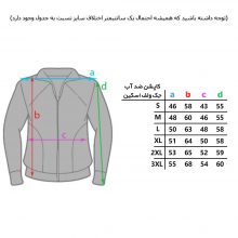 کاپشن گورتکس جک ولف اسکین